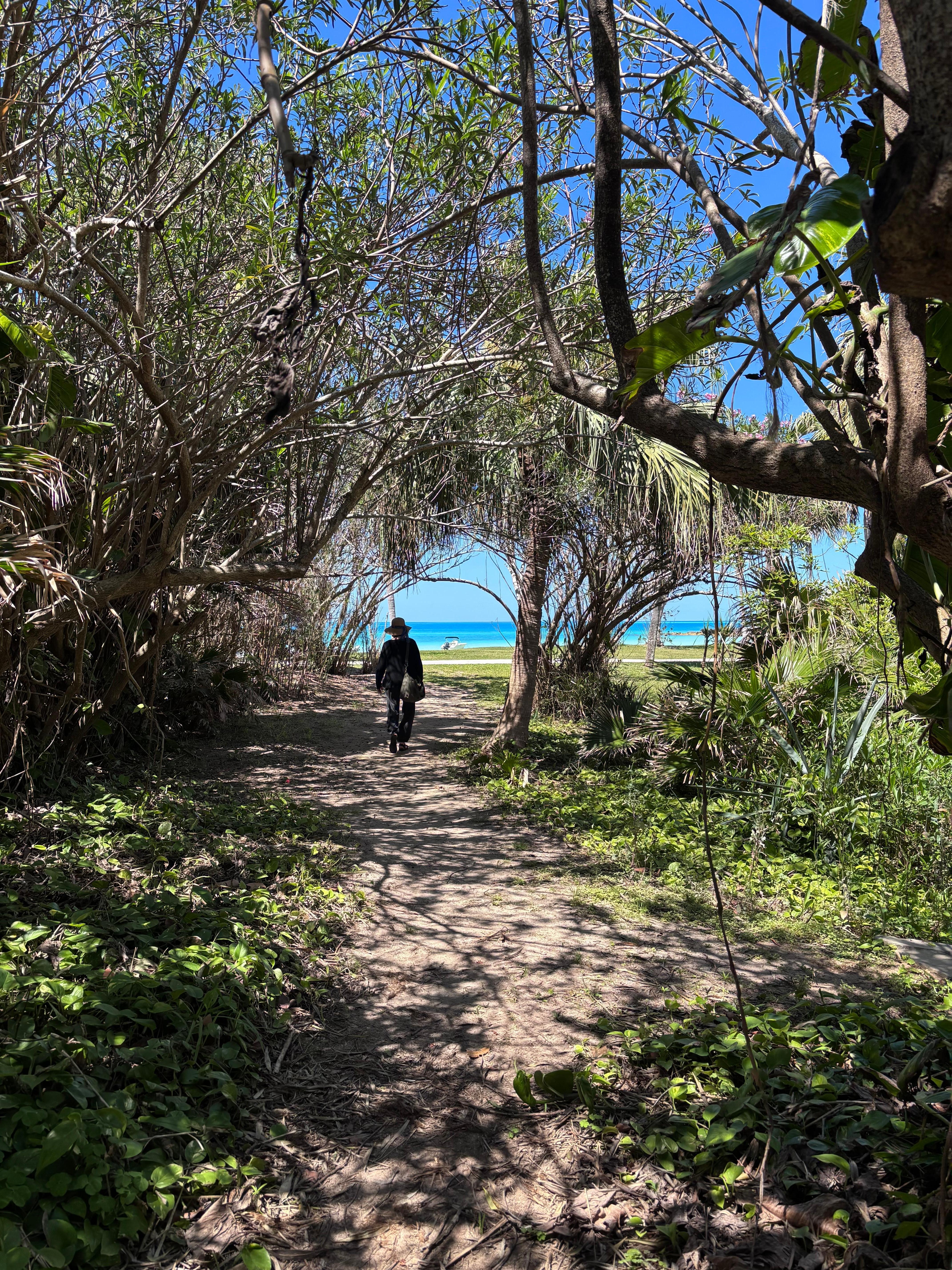 The walk to the beach….