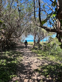 The walk to the beach….