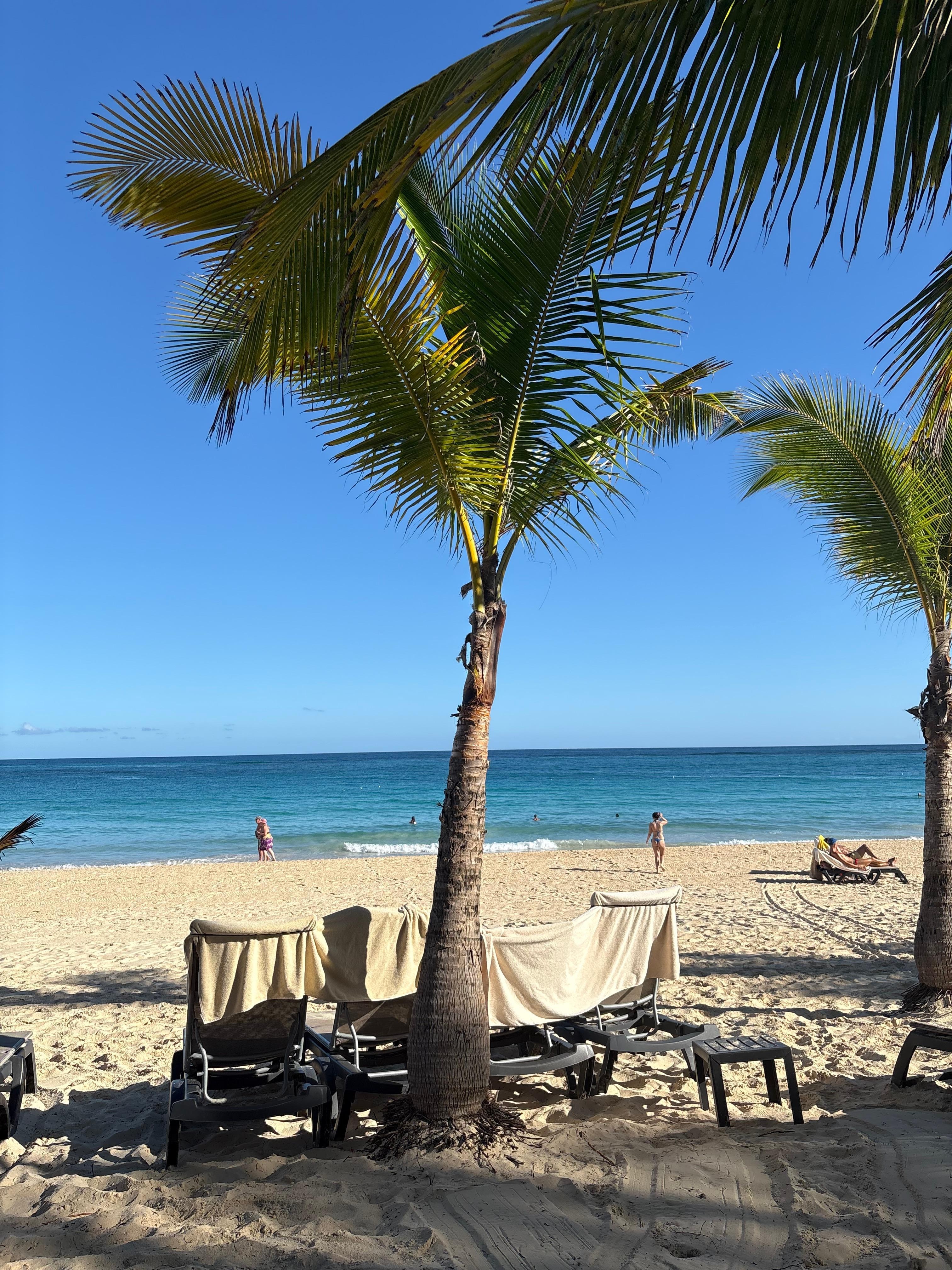 Get there before 10am to get your loungers…