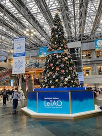 ๅคงๅฅฝใใชใซใฟใชใฎใใชใผ๐