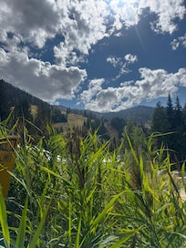 Little Cottonwood