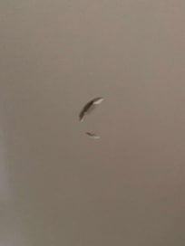 Many holes, gouges and nicks in walls
