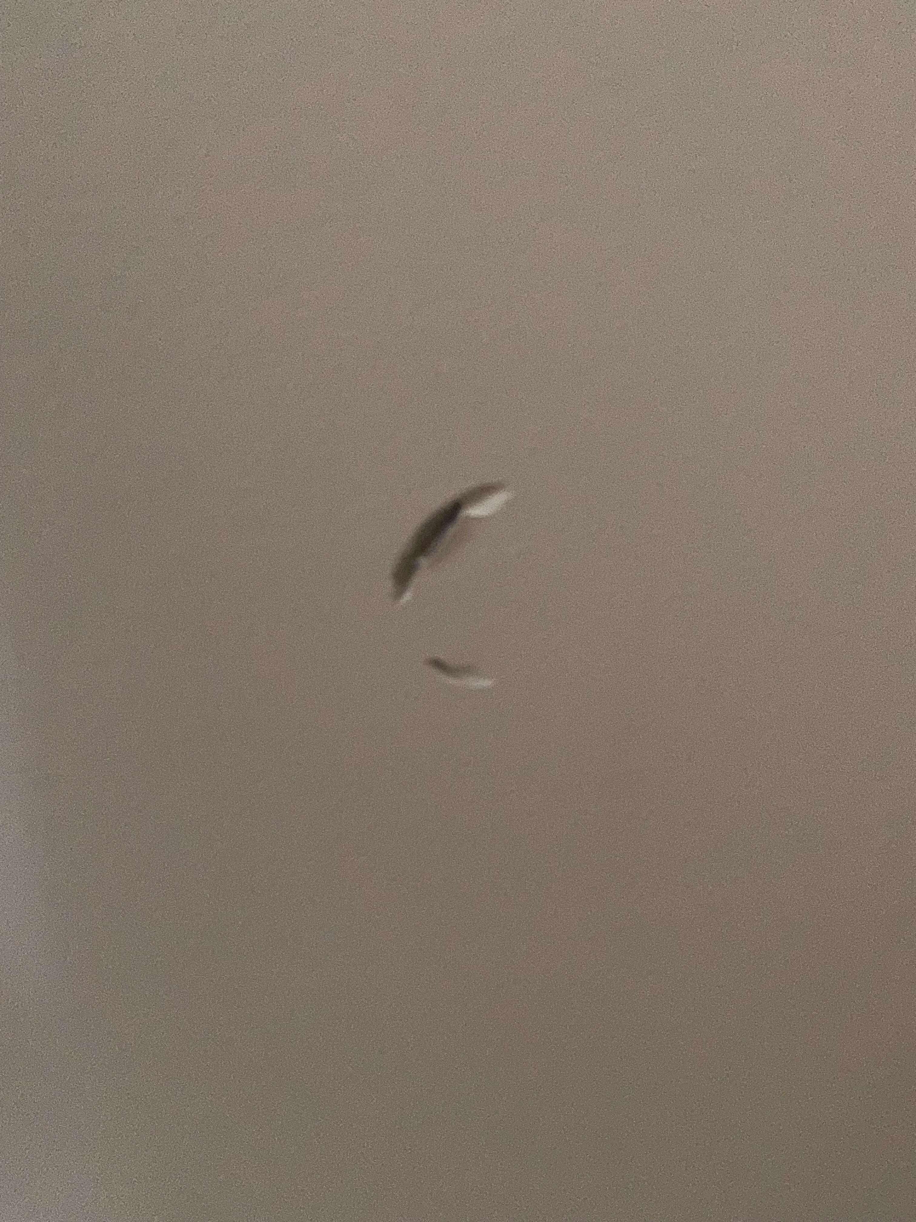 Many holes, gouges and nicks in walls