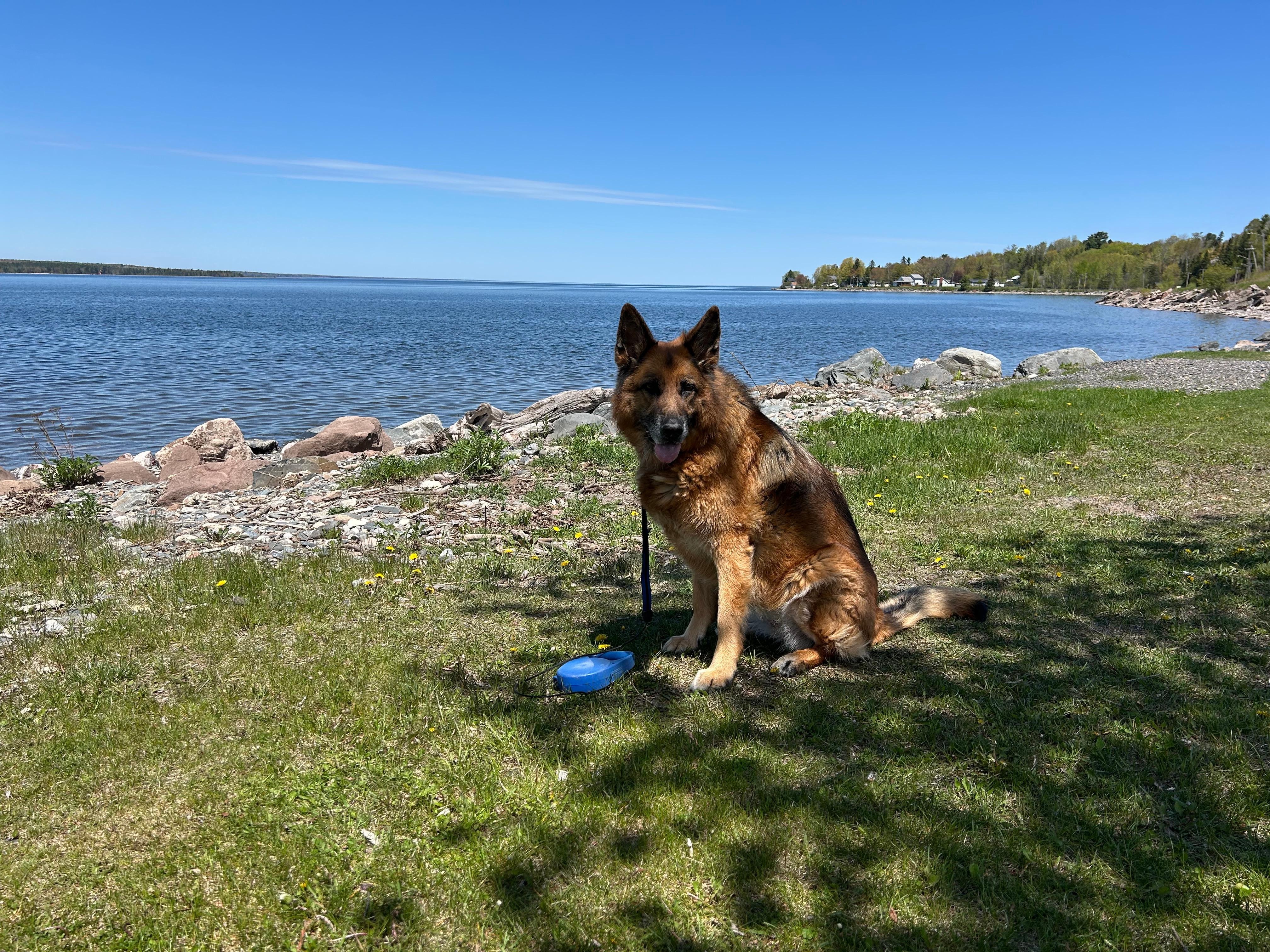 Grace loved the stay as well. 