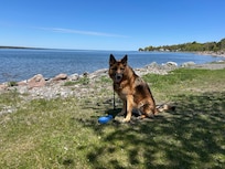 Grace loved the stay as well.