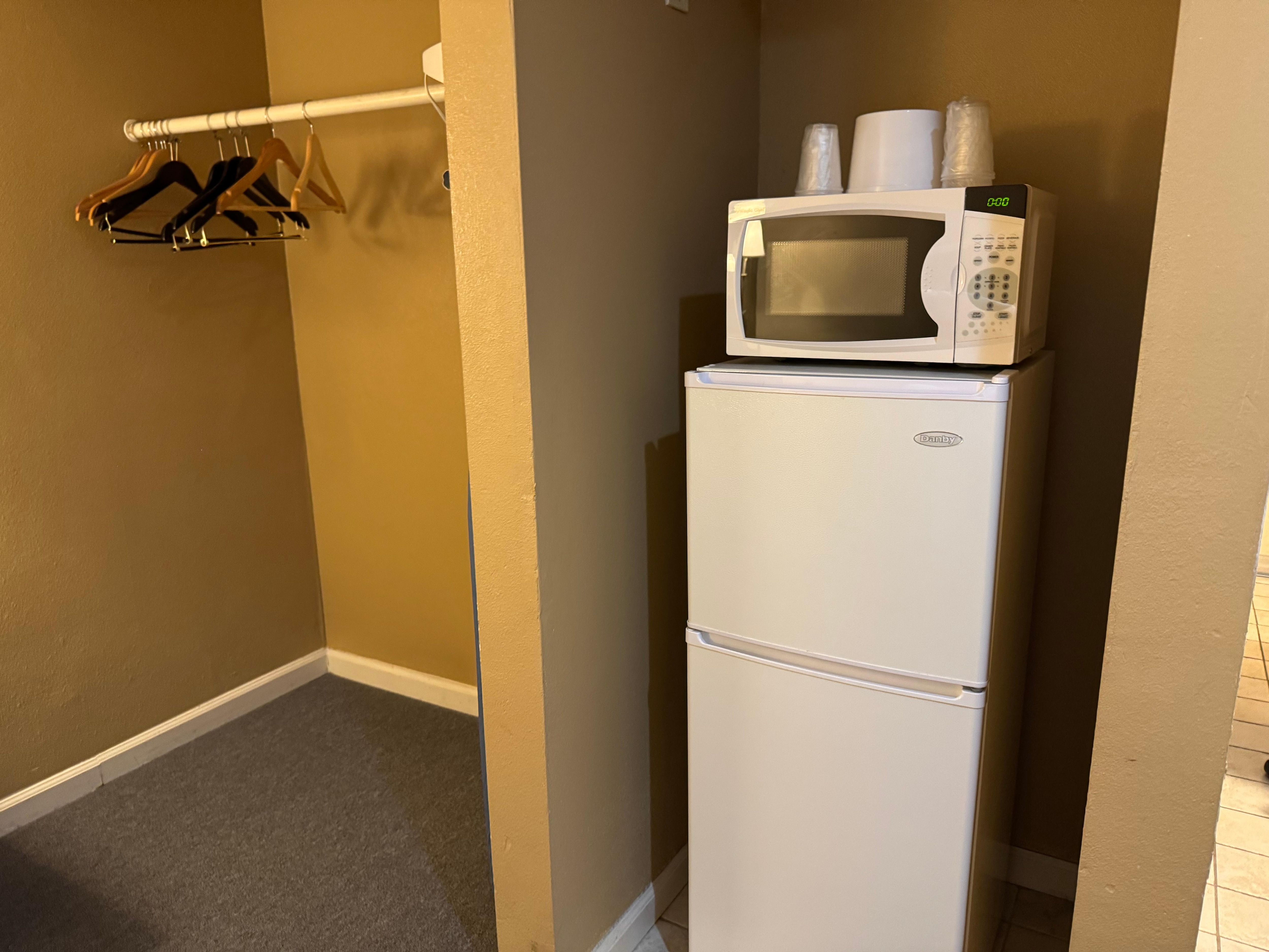 Pretty big sized fridge and microwave