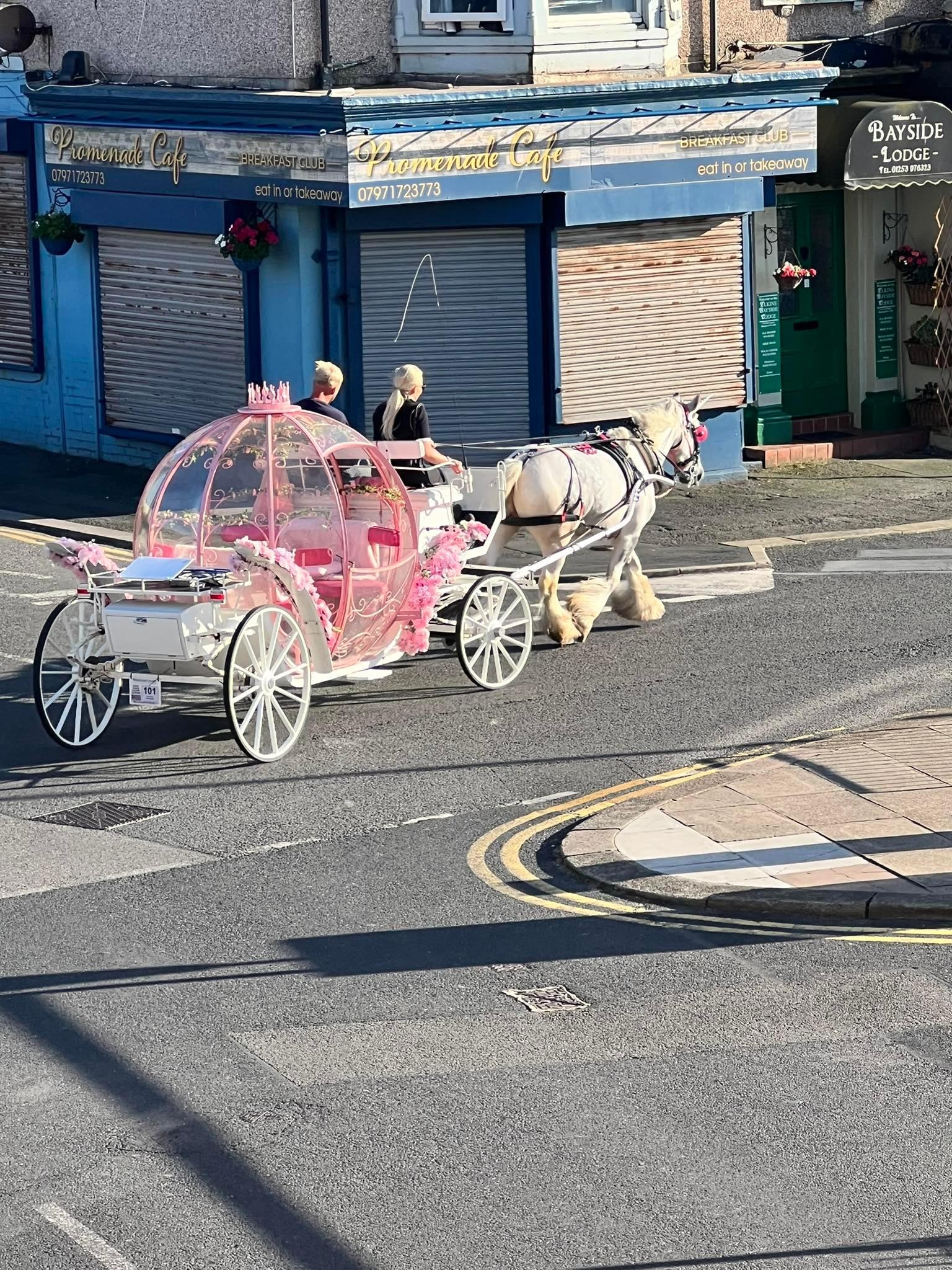 Local Ride (not associated with the hotel pic is just a random view from the window).