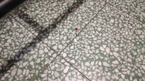 Tomatenreste auf Küchen-Boden