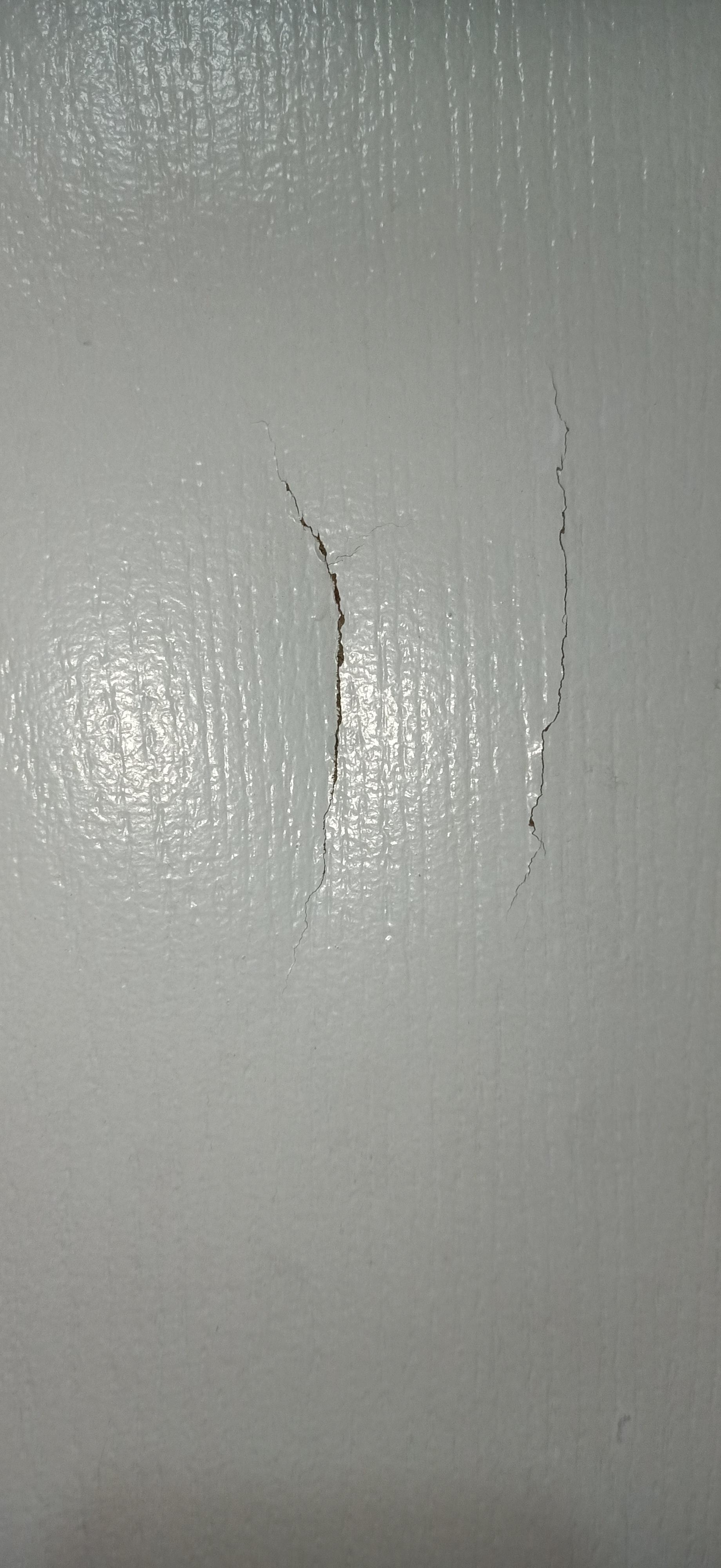 Damages on bathroom door