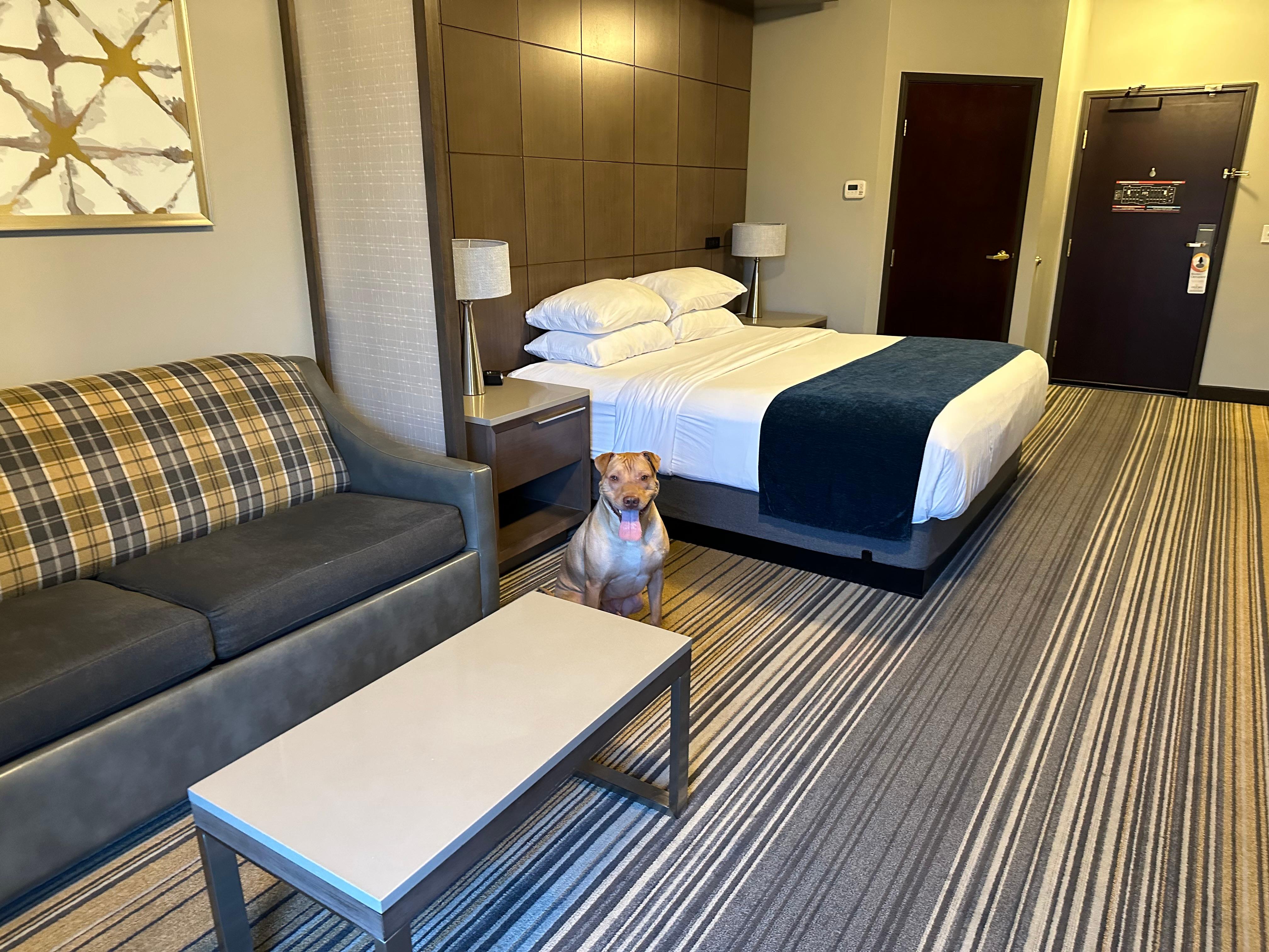 Very nice room!