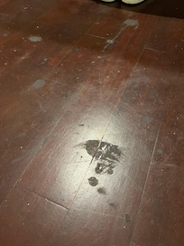 Grubby sticky floor. This was all over the floor and had clearly been there a few months as dirt was stuck down.