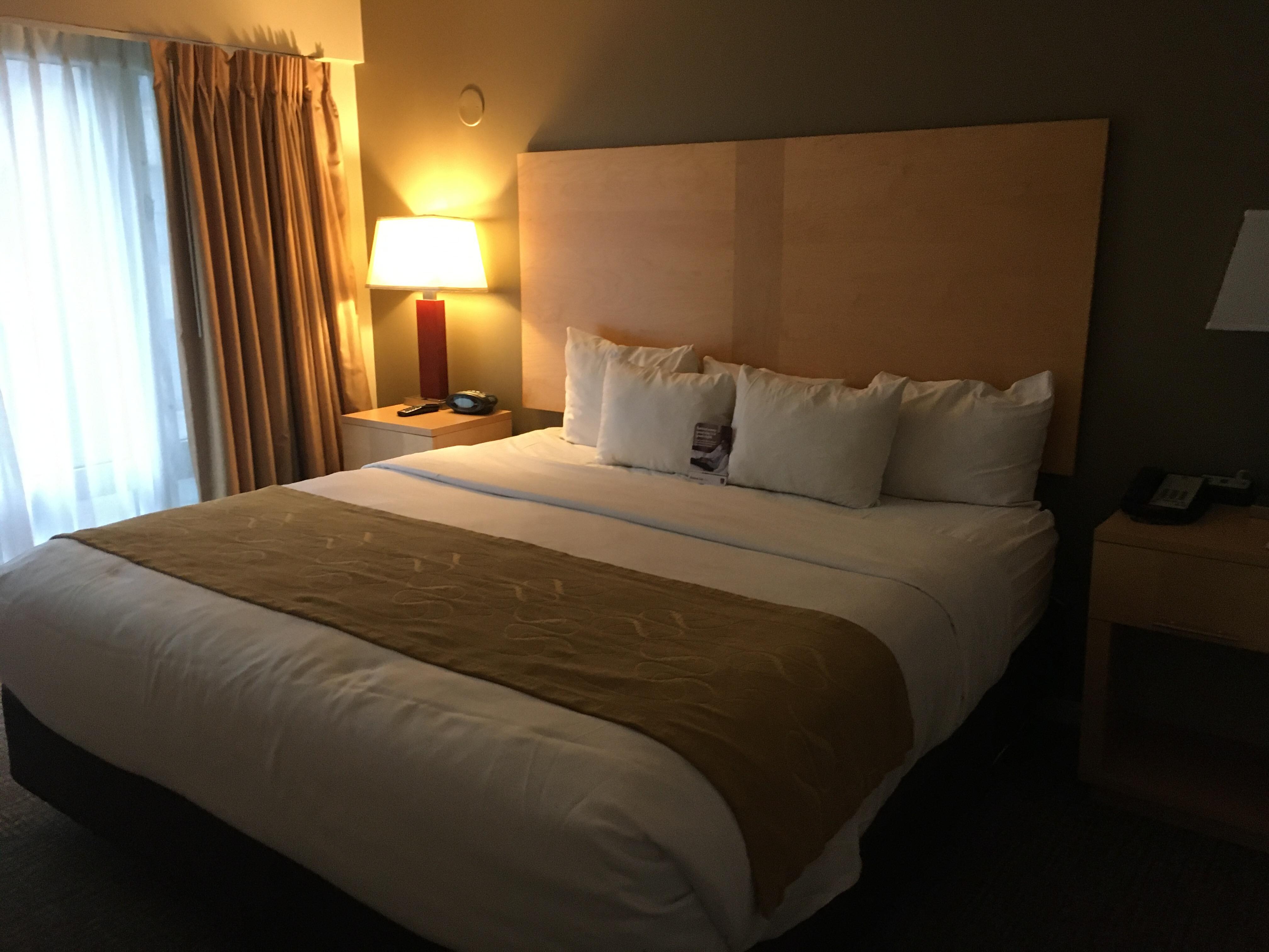 Bedroom with king bed