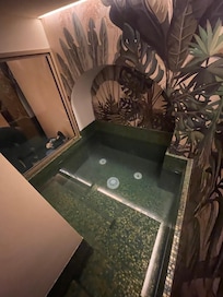 Plunge pool