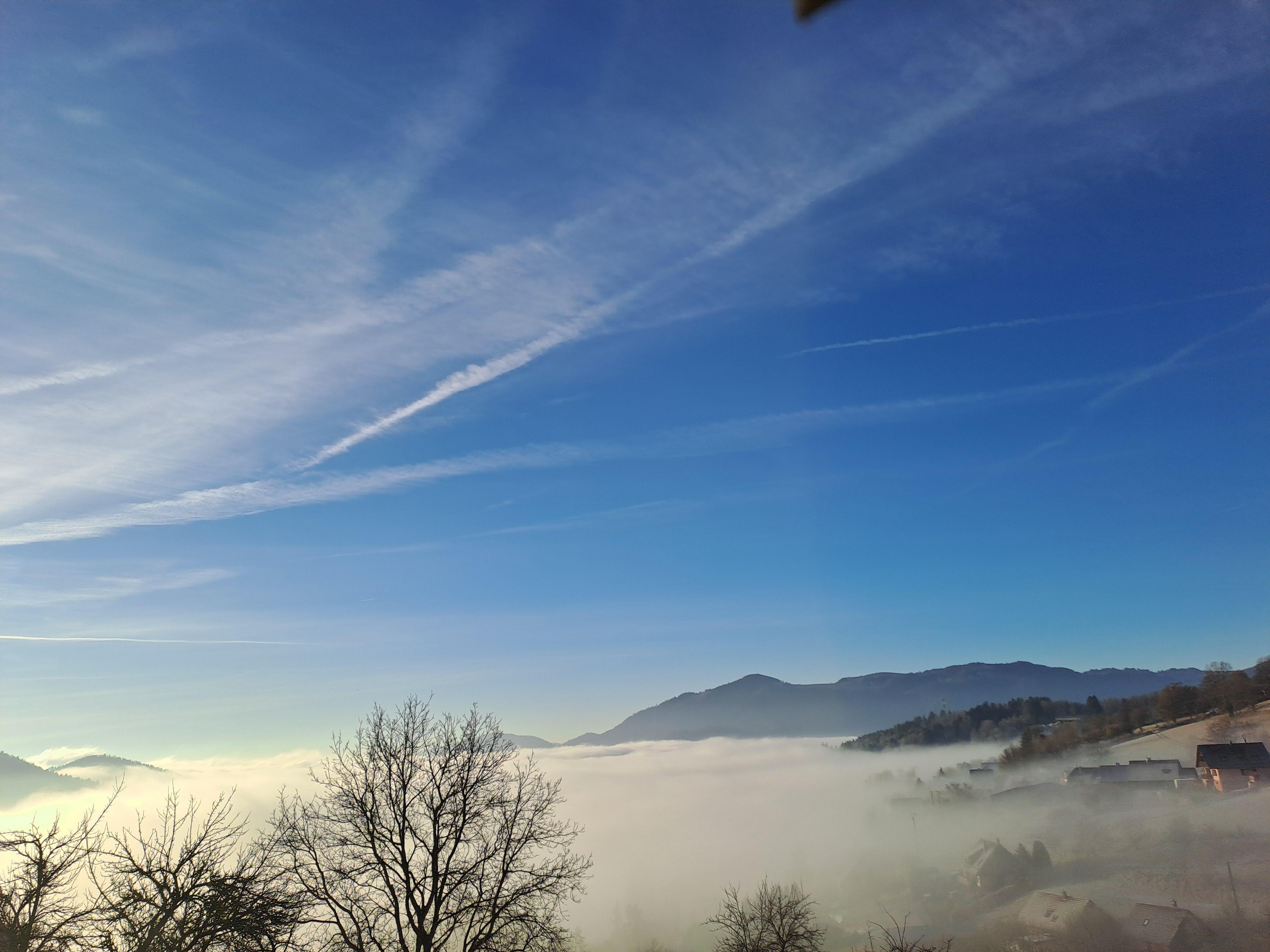 Vue du velux du gite! 