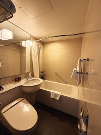 Bathroom interior ( large).