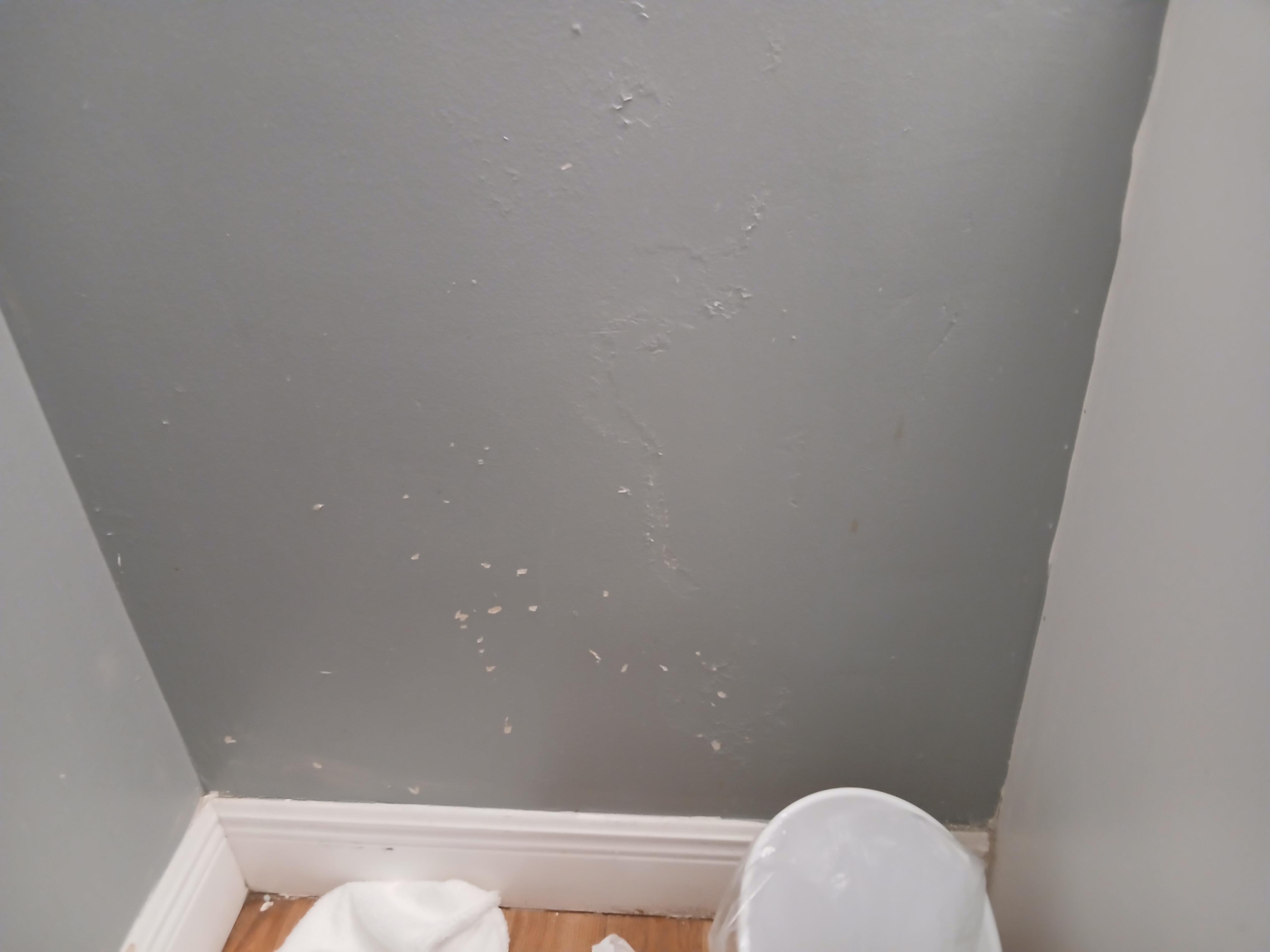 Not sure whats in the wall