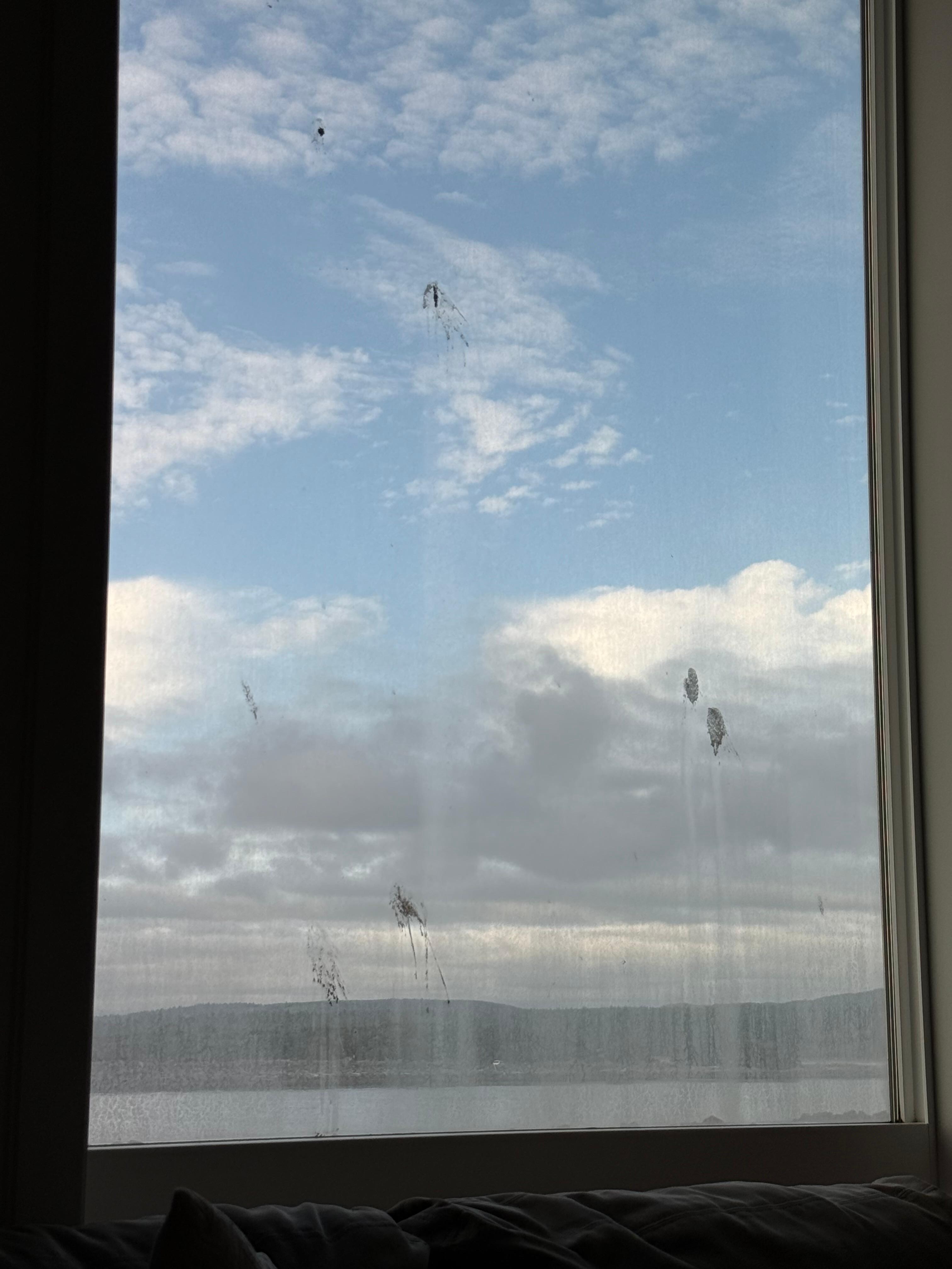 Example of dirty window