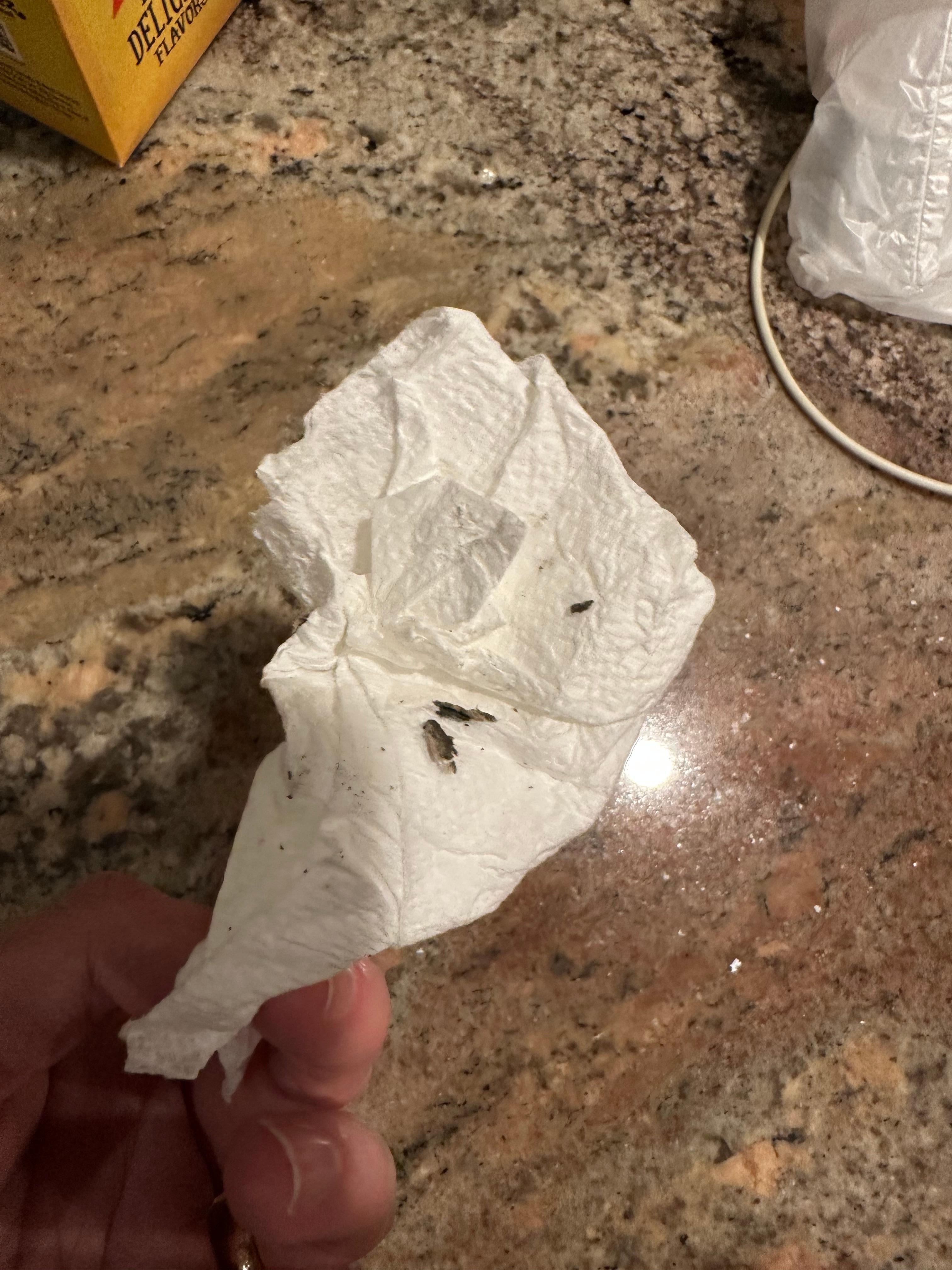 Dust/mold from the AC unit.