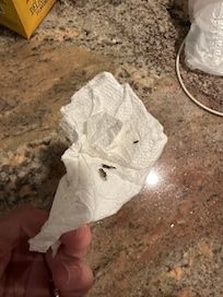 Dust/mold from the AC unit.