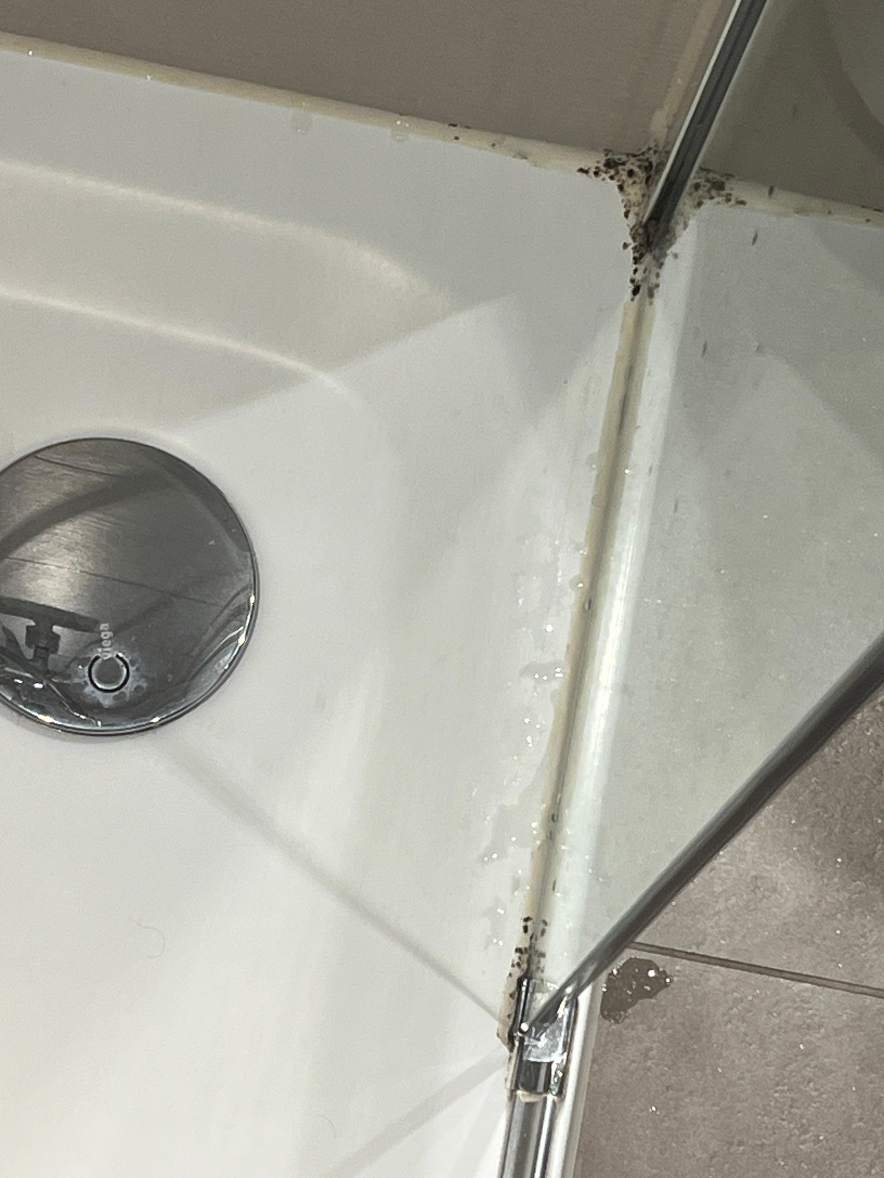 Extensive black mould in shower, courtesy to poor ventilation/exhaust vent in bathroom.