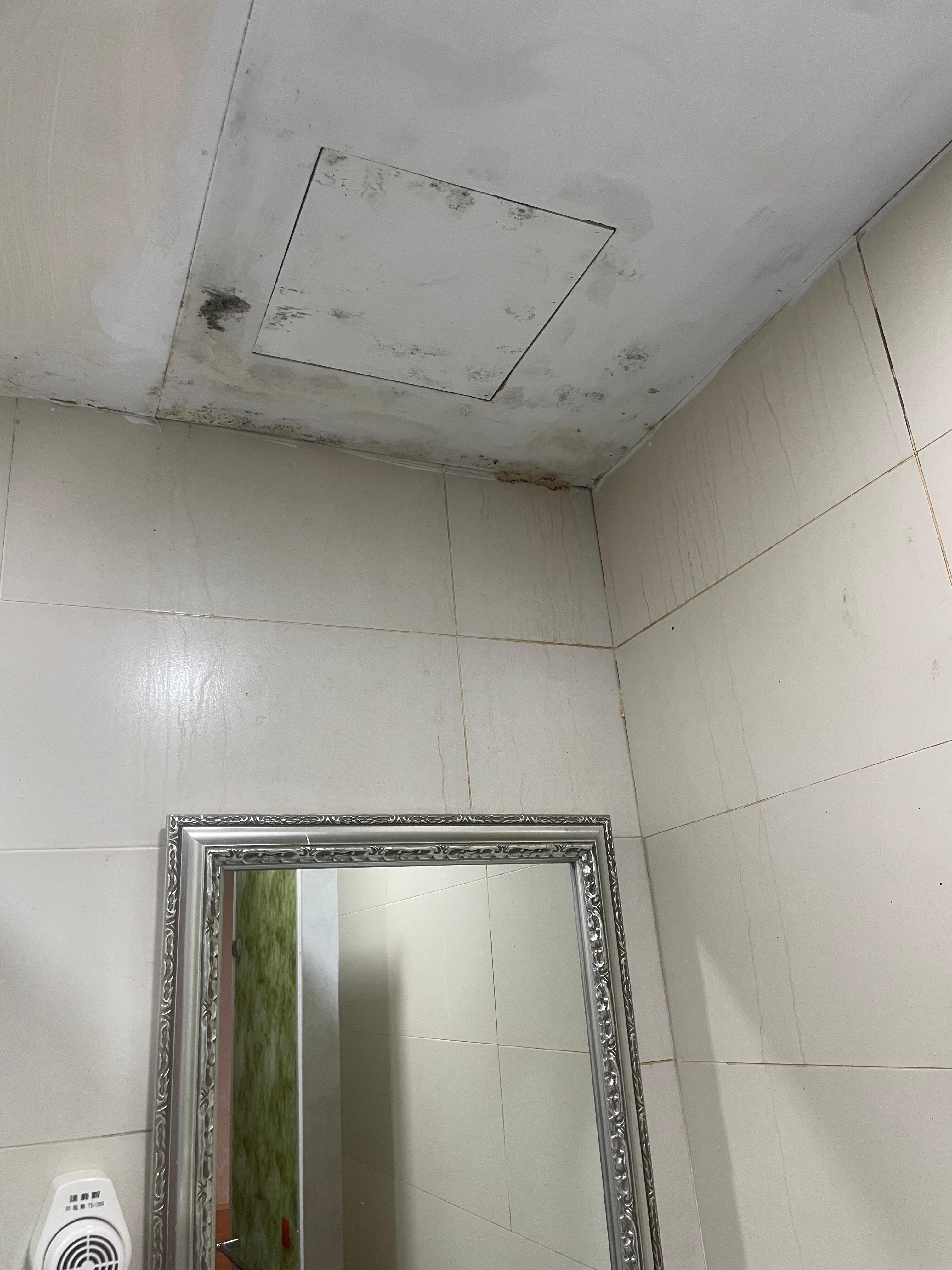 Bathroom ceiling with mold