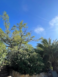 View from the sun lounger!