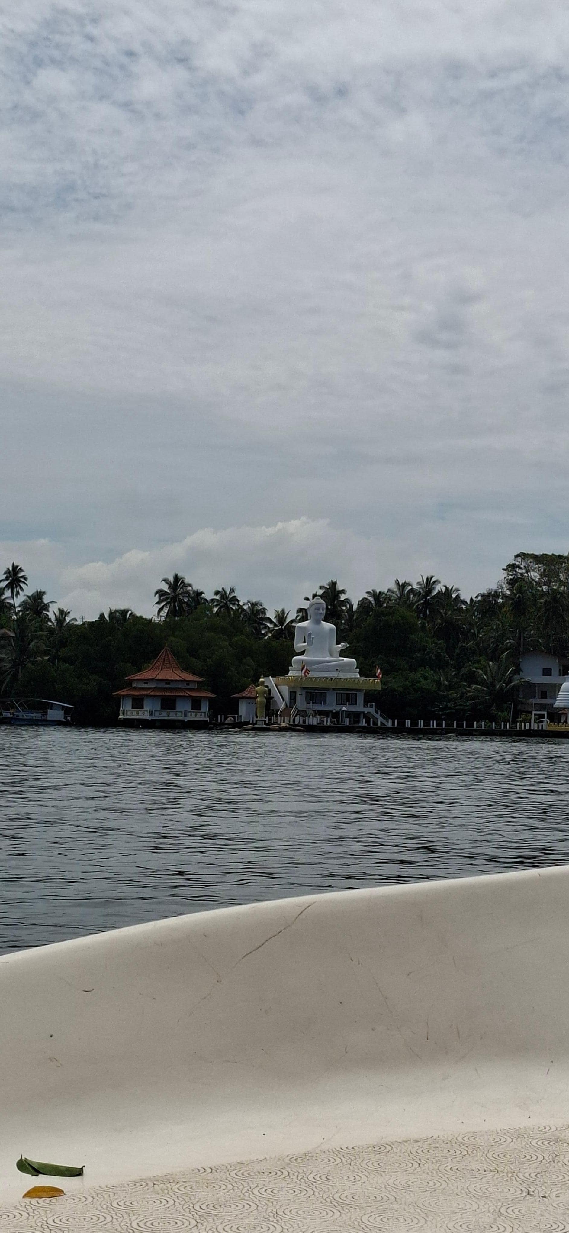 Amazing views on the safari