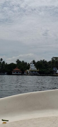 Amazing views on the safari