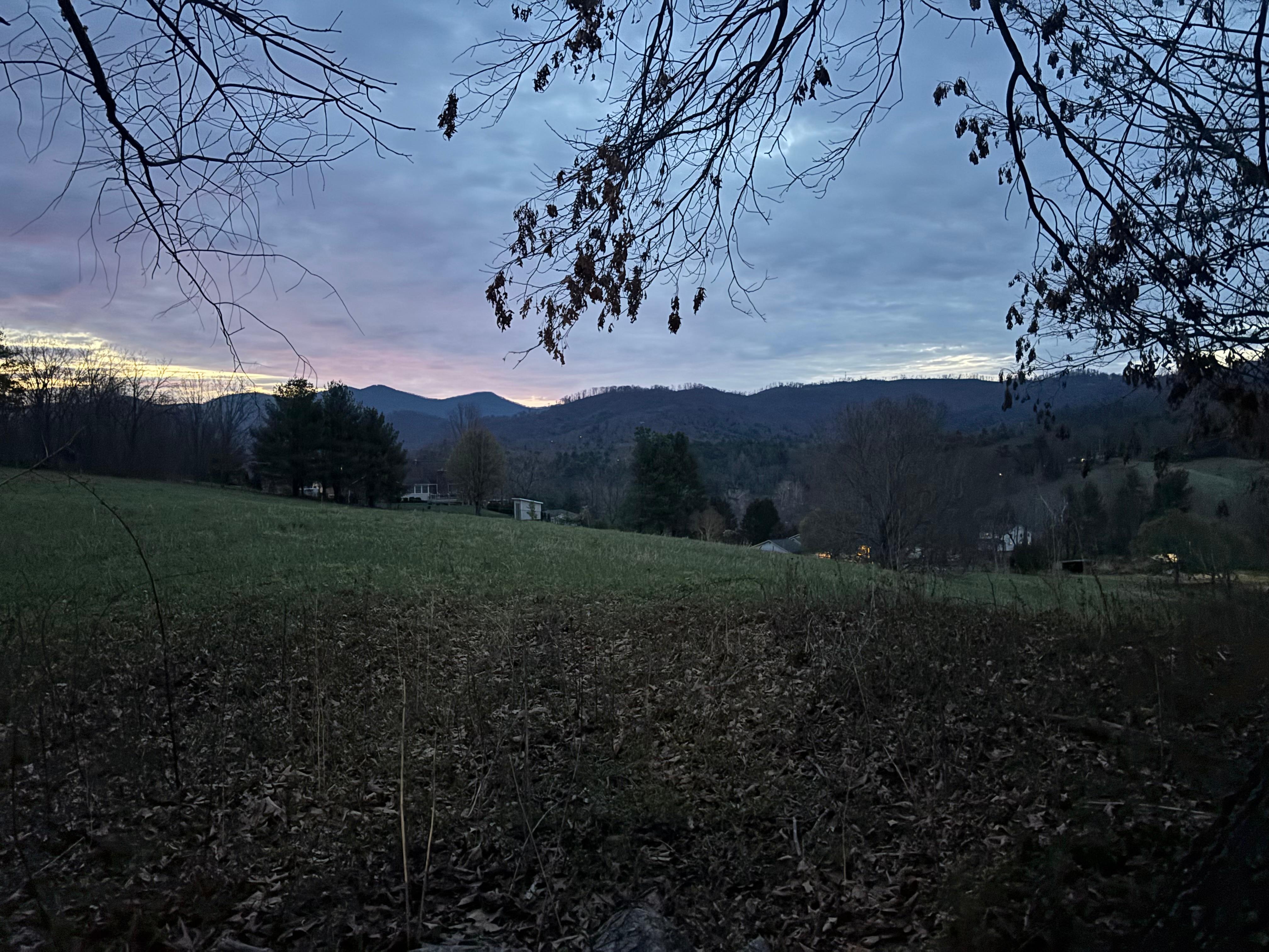 Early morning view from the backyard.