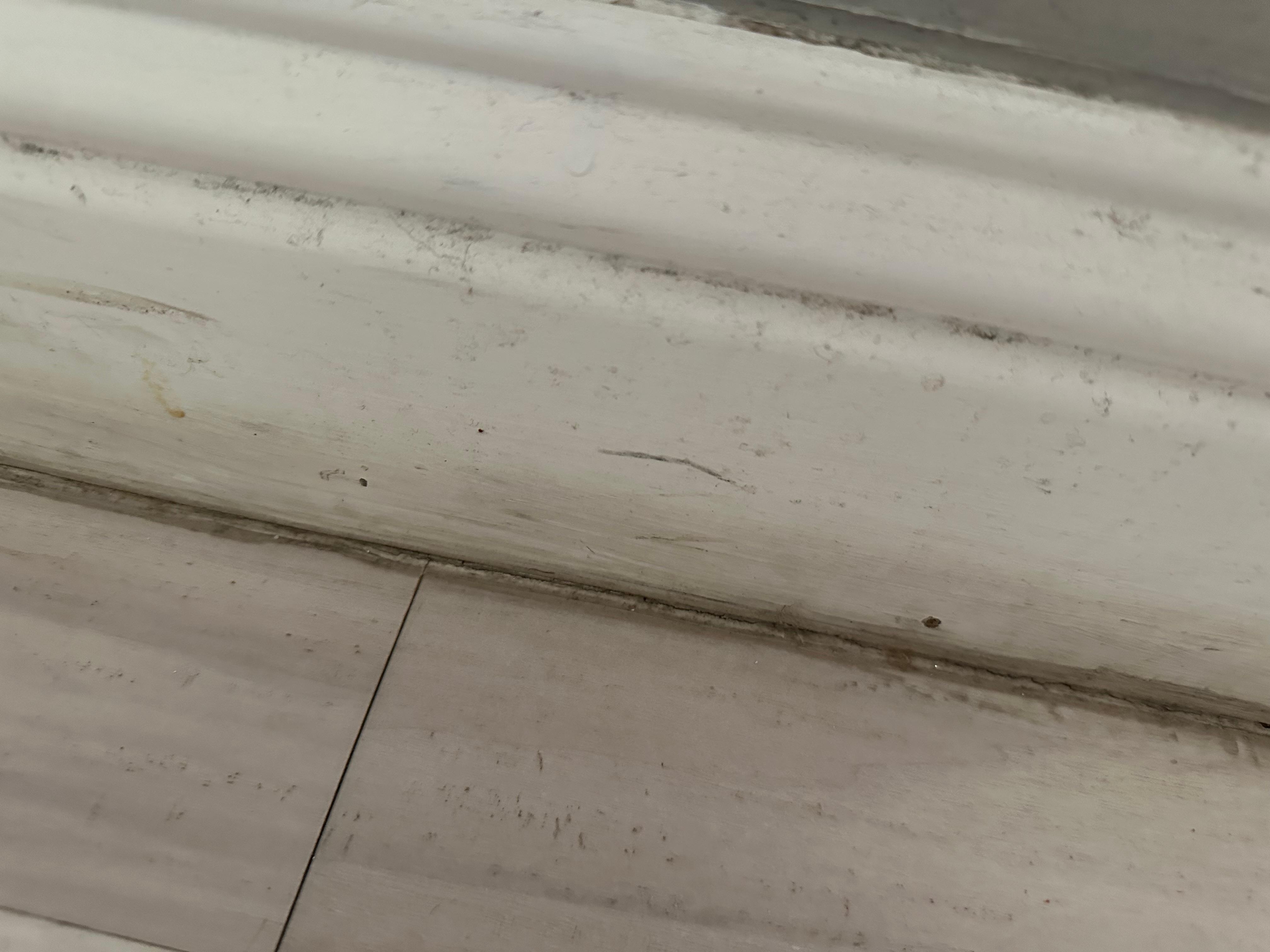 Filthy floor and baseboards