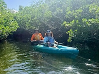 Kayaking through the Mangroves