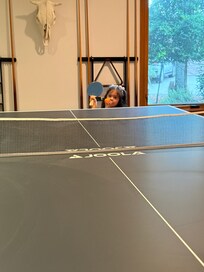 Pool table where you can see the dust streaks after trying to wipe it down