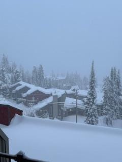 Fresh snow fall 10 cm