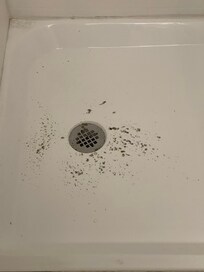 Sewage in shower.