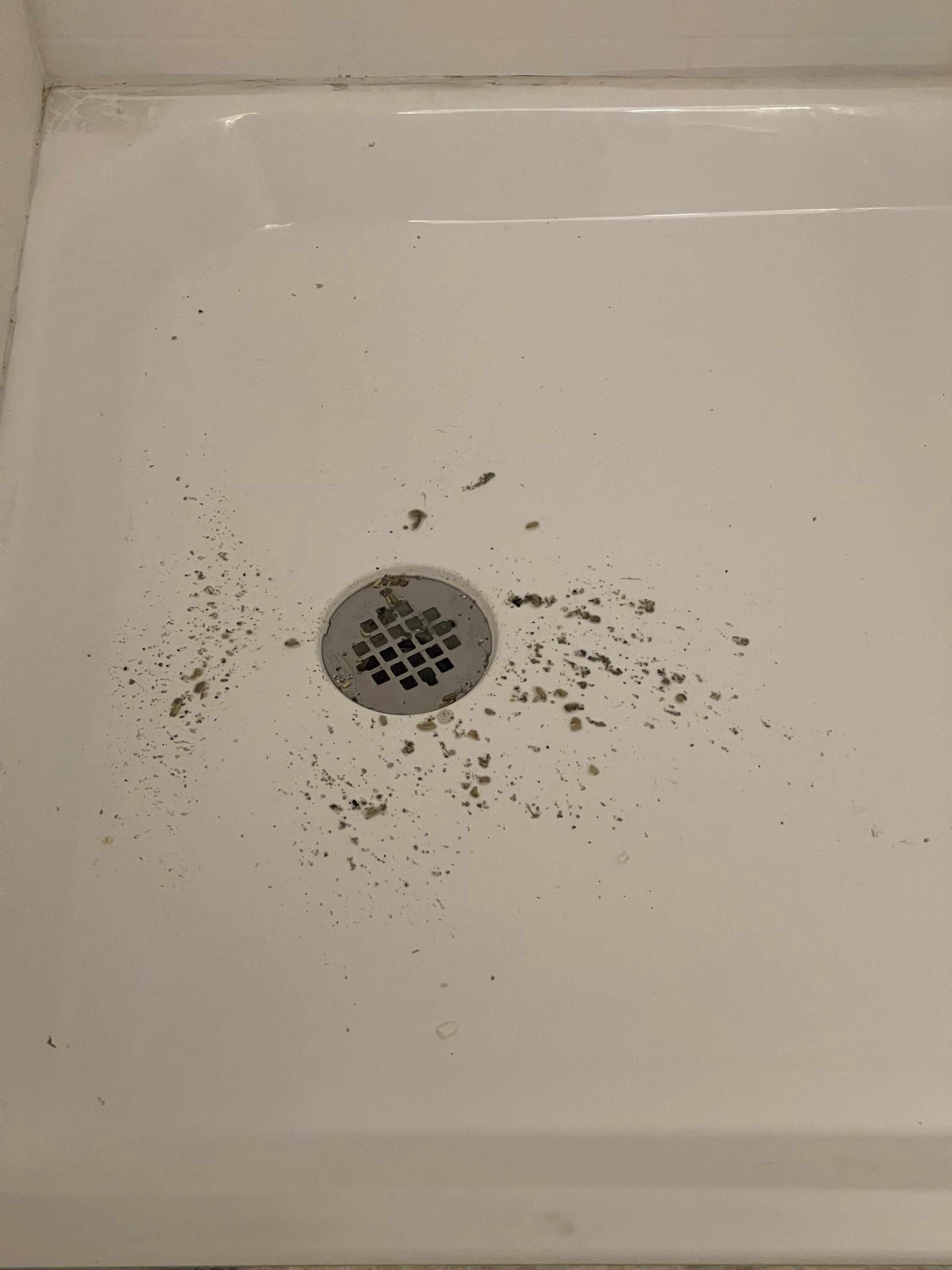 Sewage in shower. 