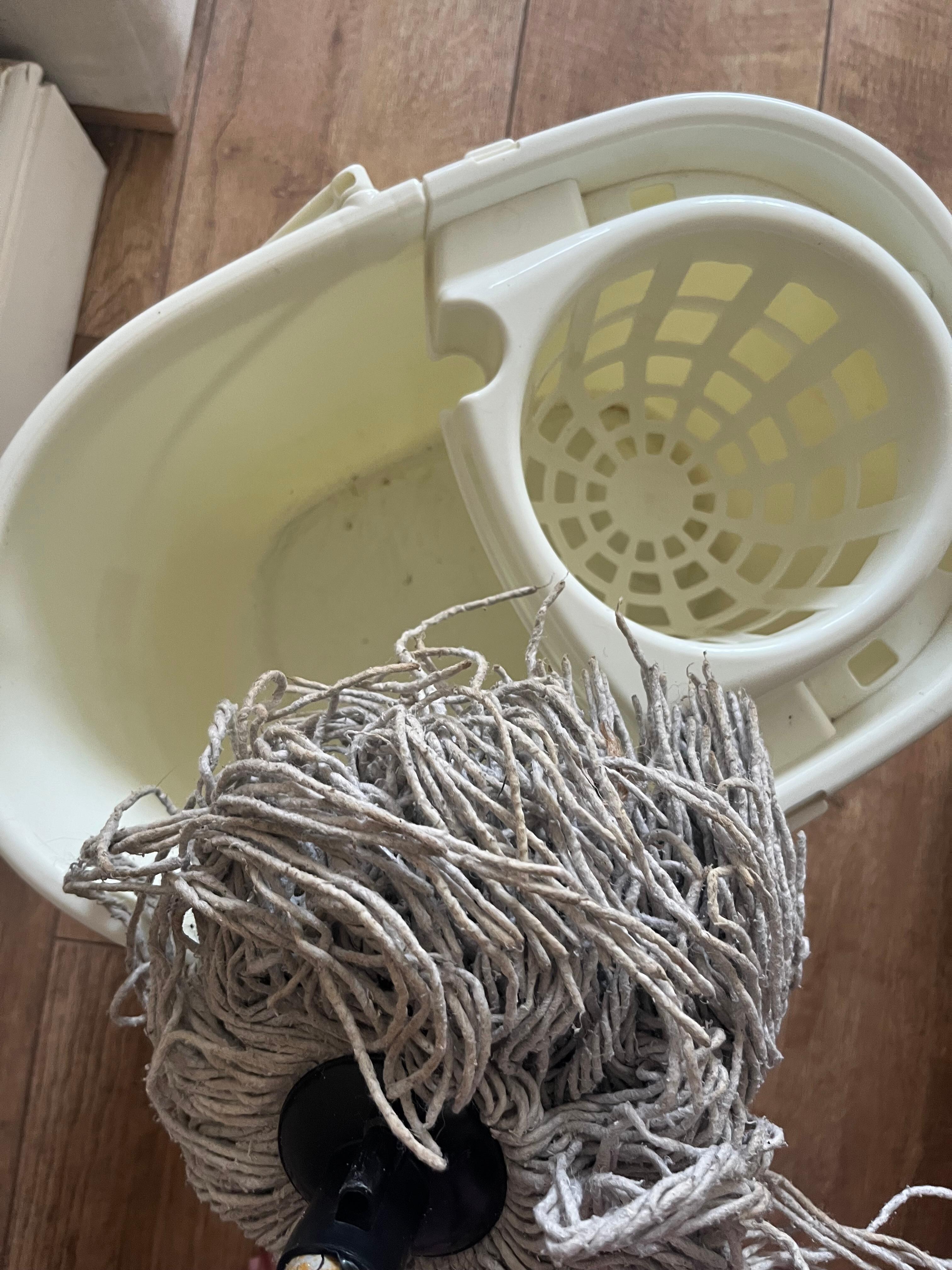 Dry crusty mop clearly not been used