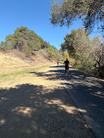 Ventura river path