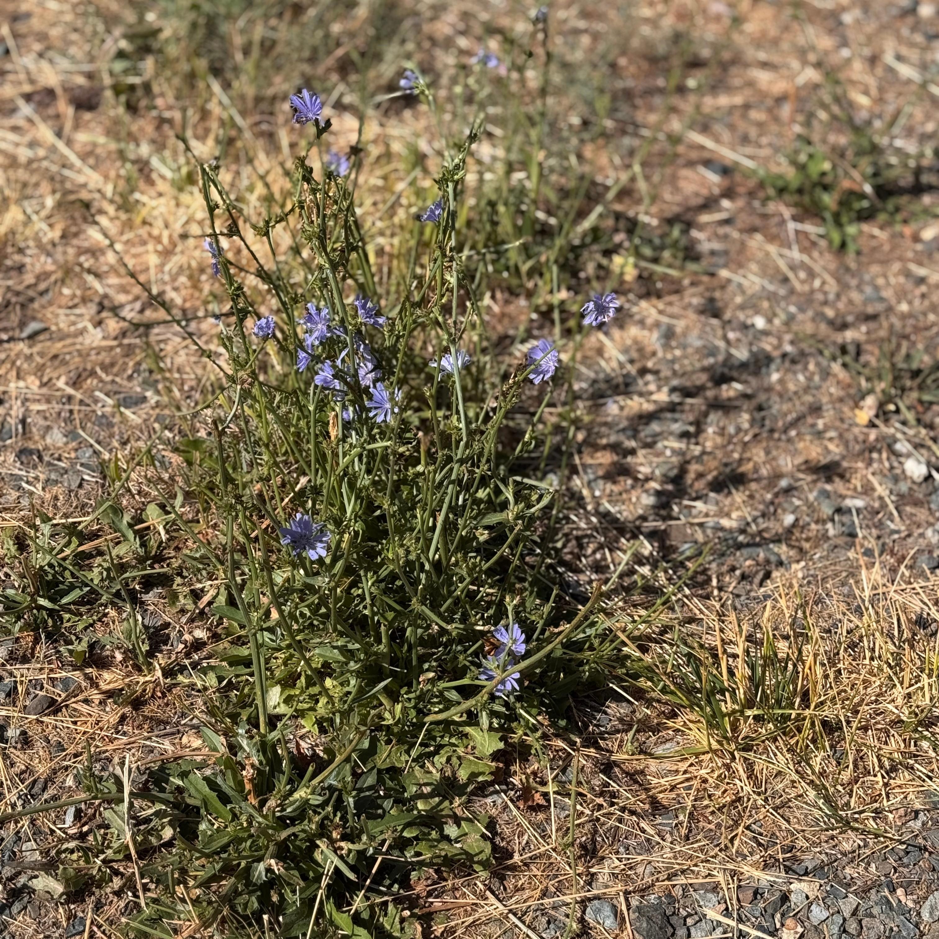 And lots of interesting flora 