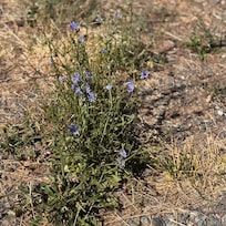 And lots of interesting flora