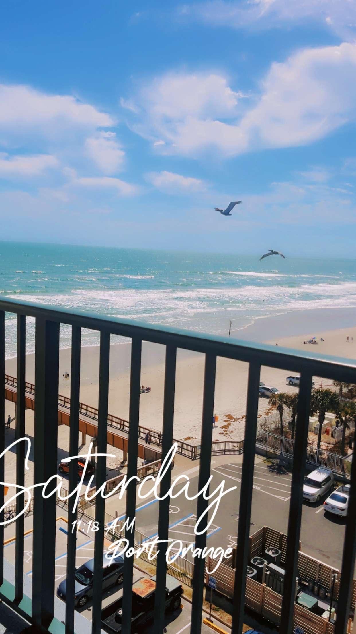 Enjoying the view🌴