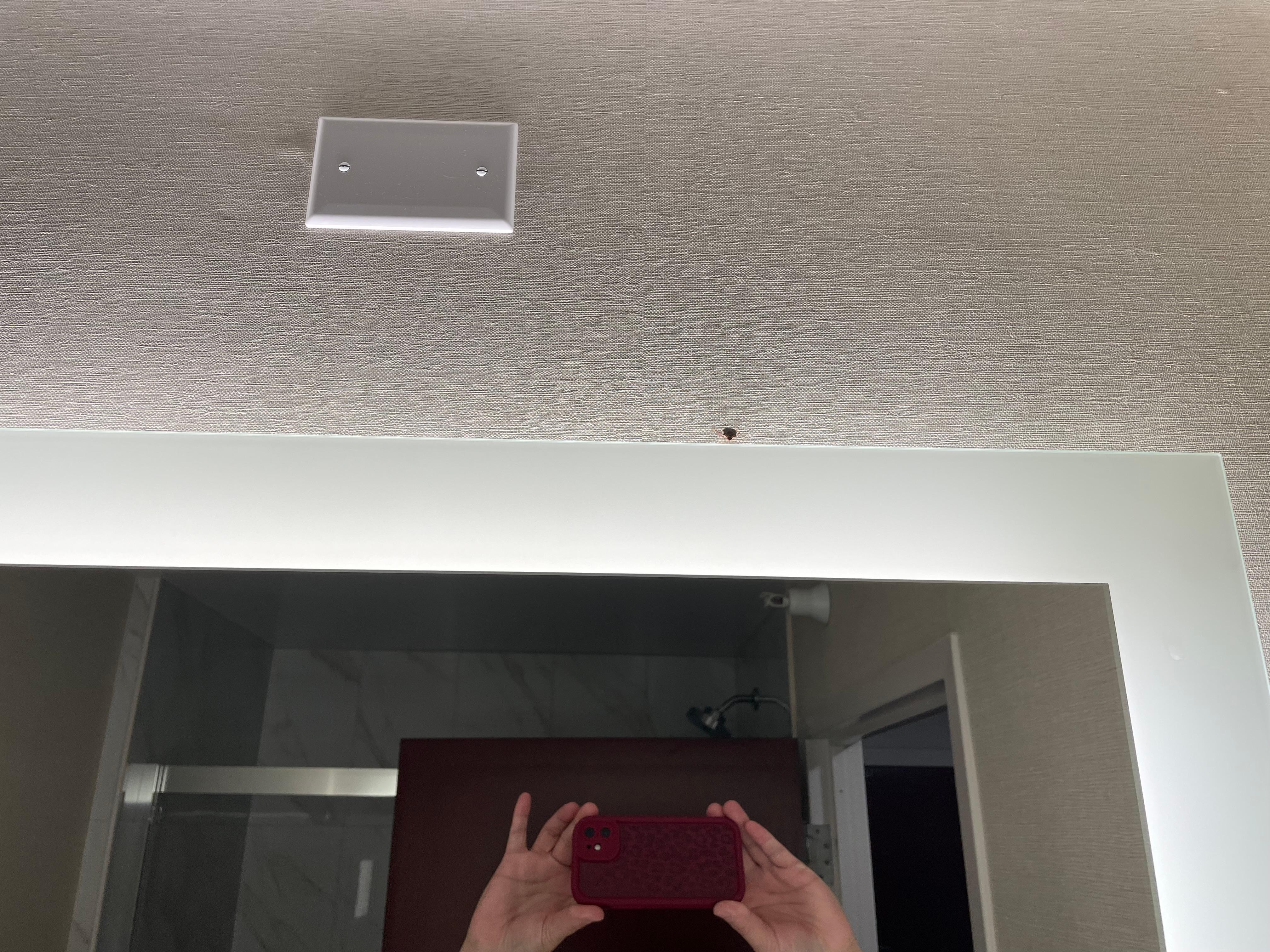 Bug in bathroom