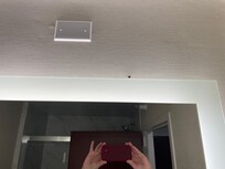 Bug in bathroom