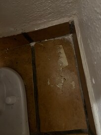Dried toilette paper on bathroom floor.