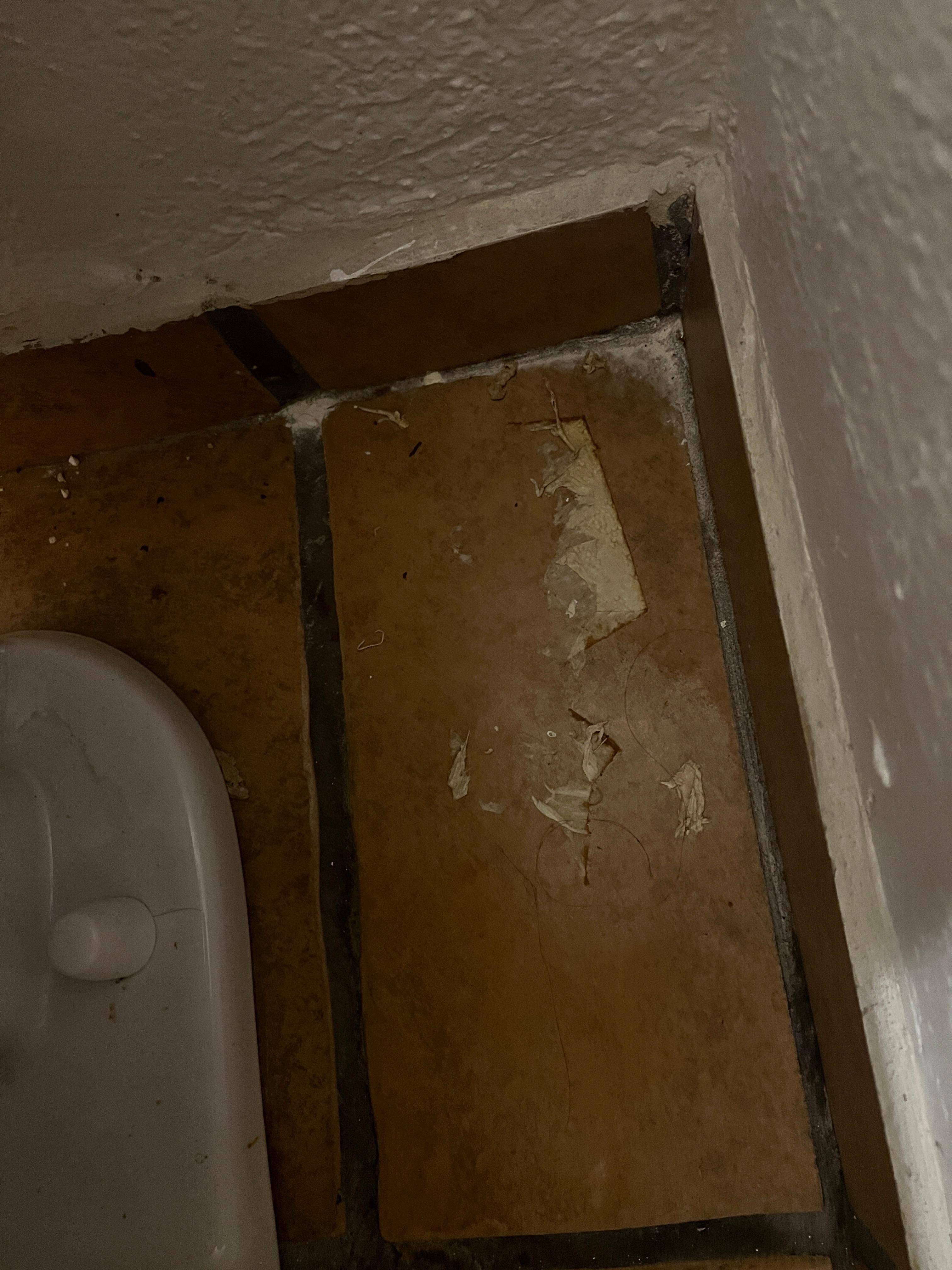 Dried toilette paper on bathroom floor.