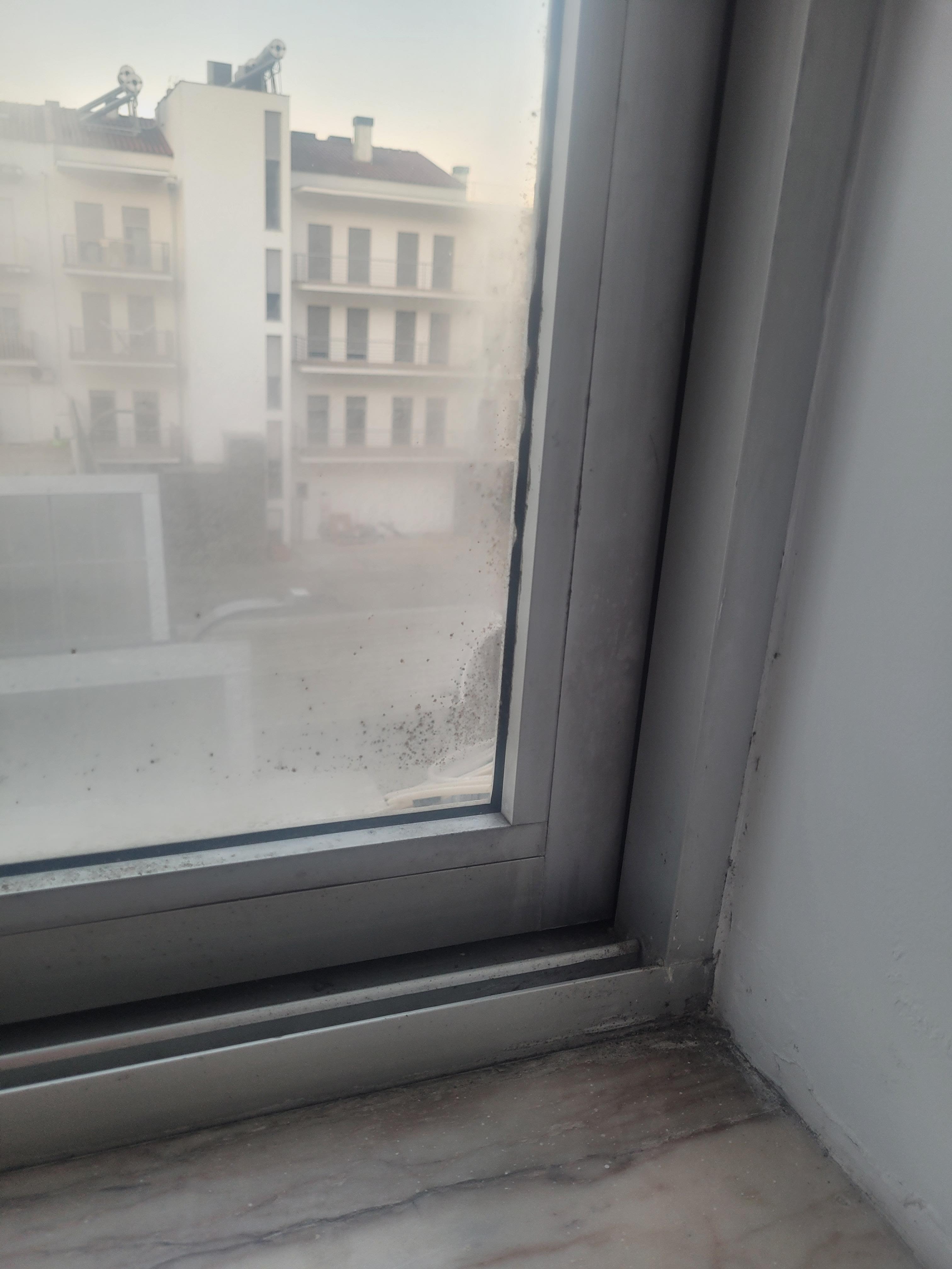 Mold on window