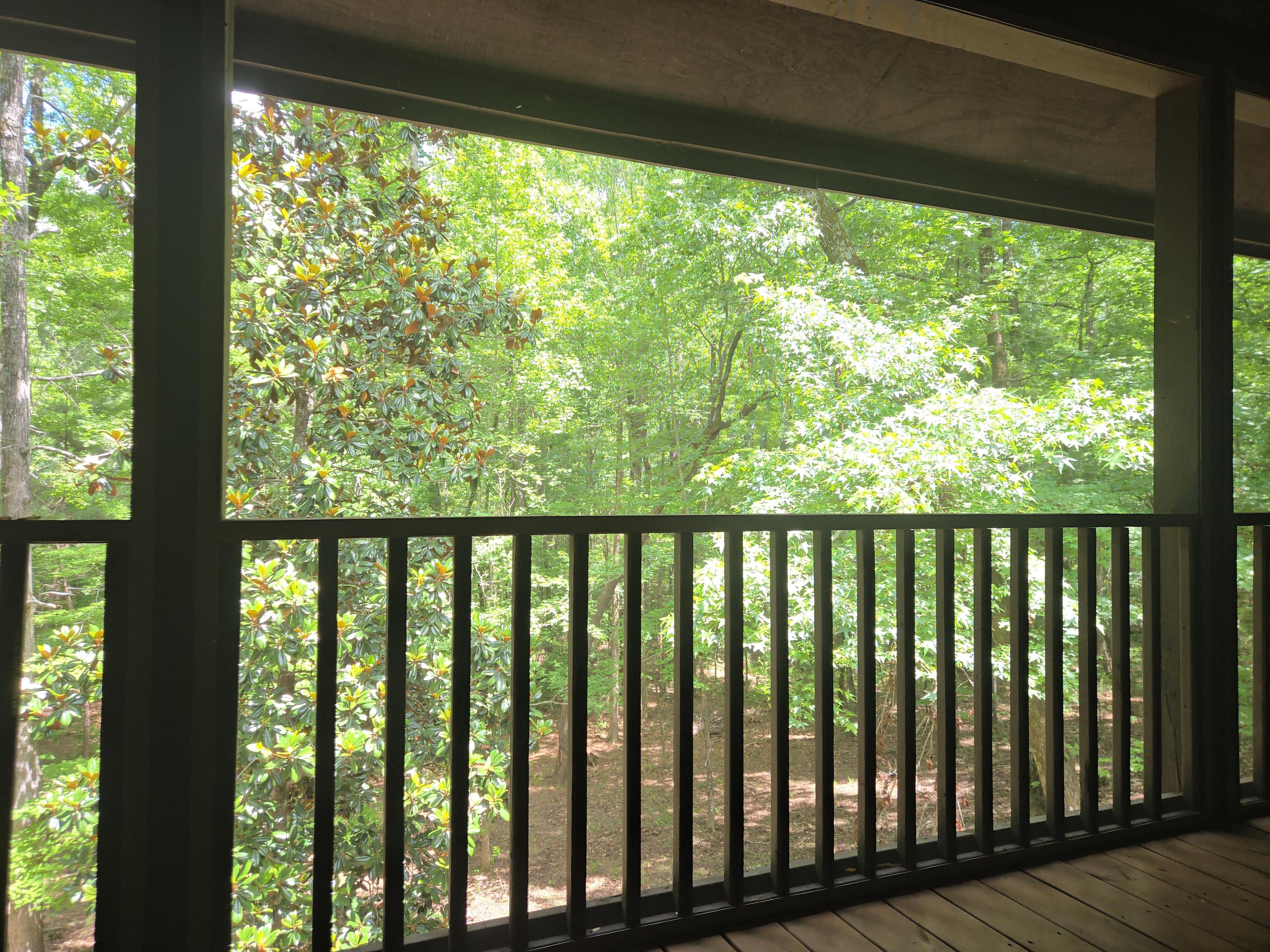 View from back deck