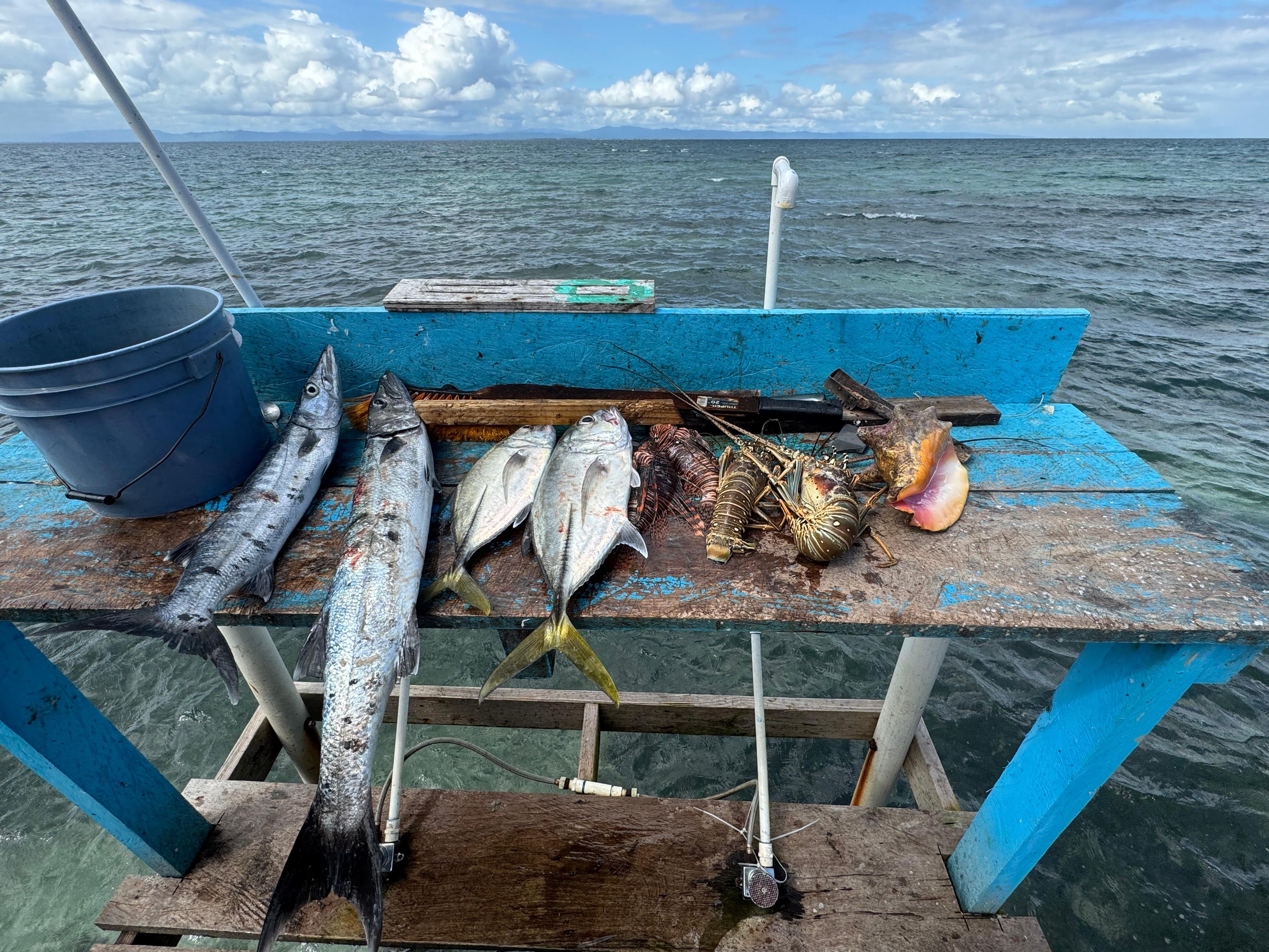 Catch n Cook-barracuda,yellowtails, lionfish, conch, lobster