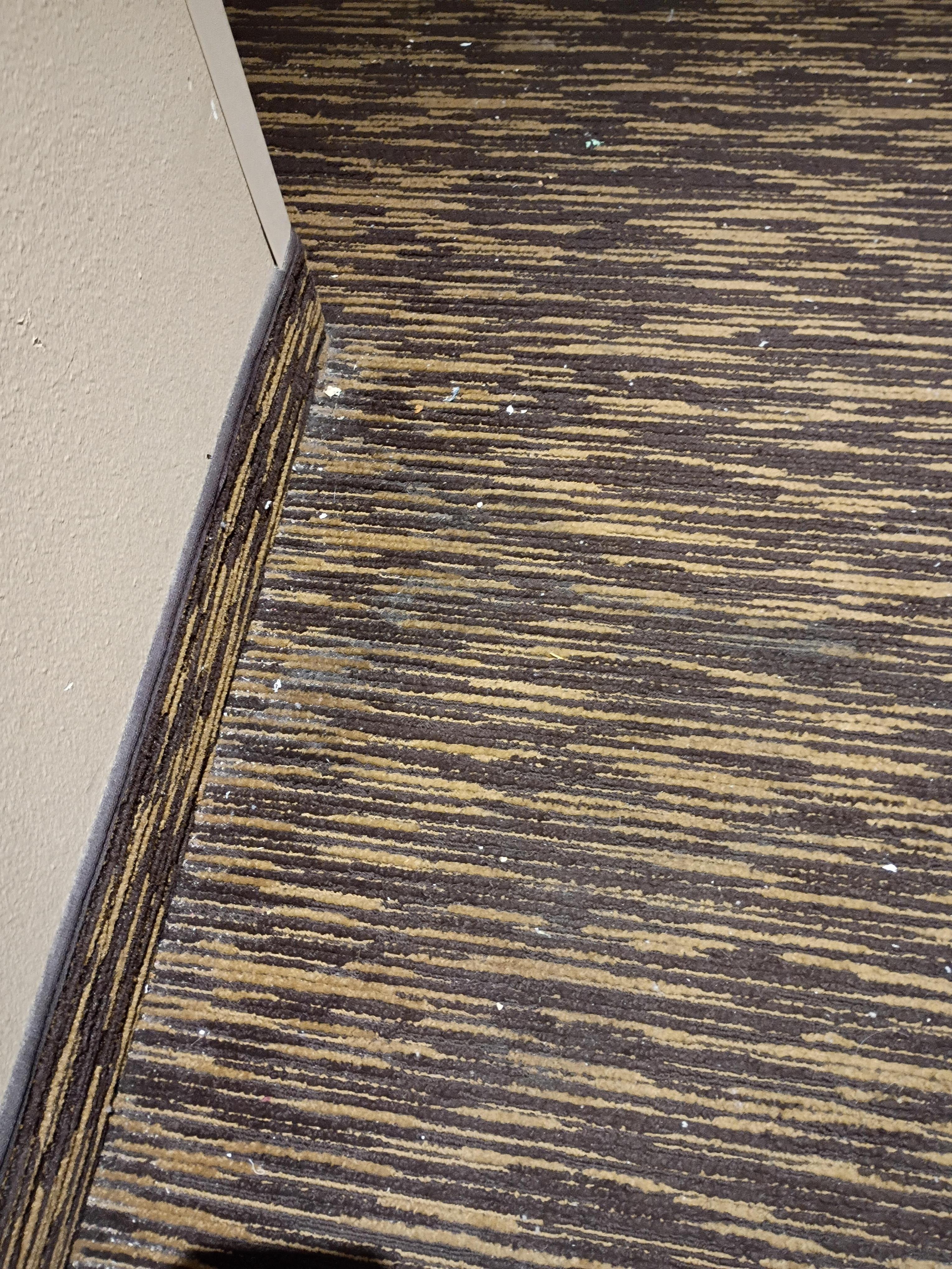 Dirty carpet just outside the room.