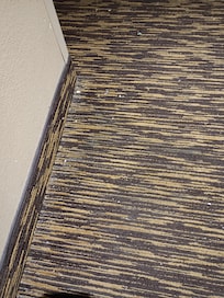 Dirty carpet just outside the room.