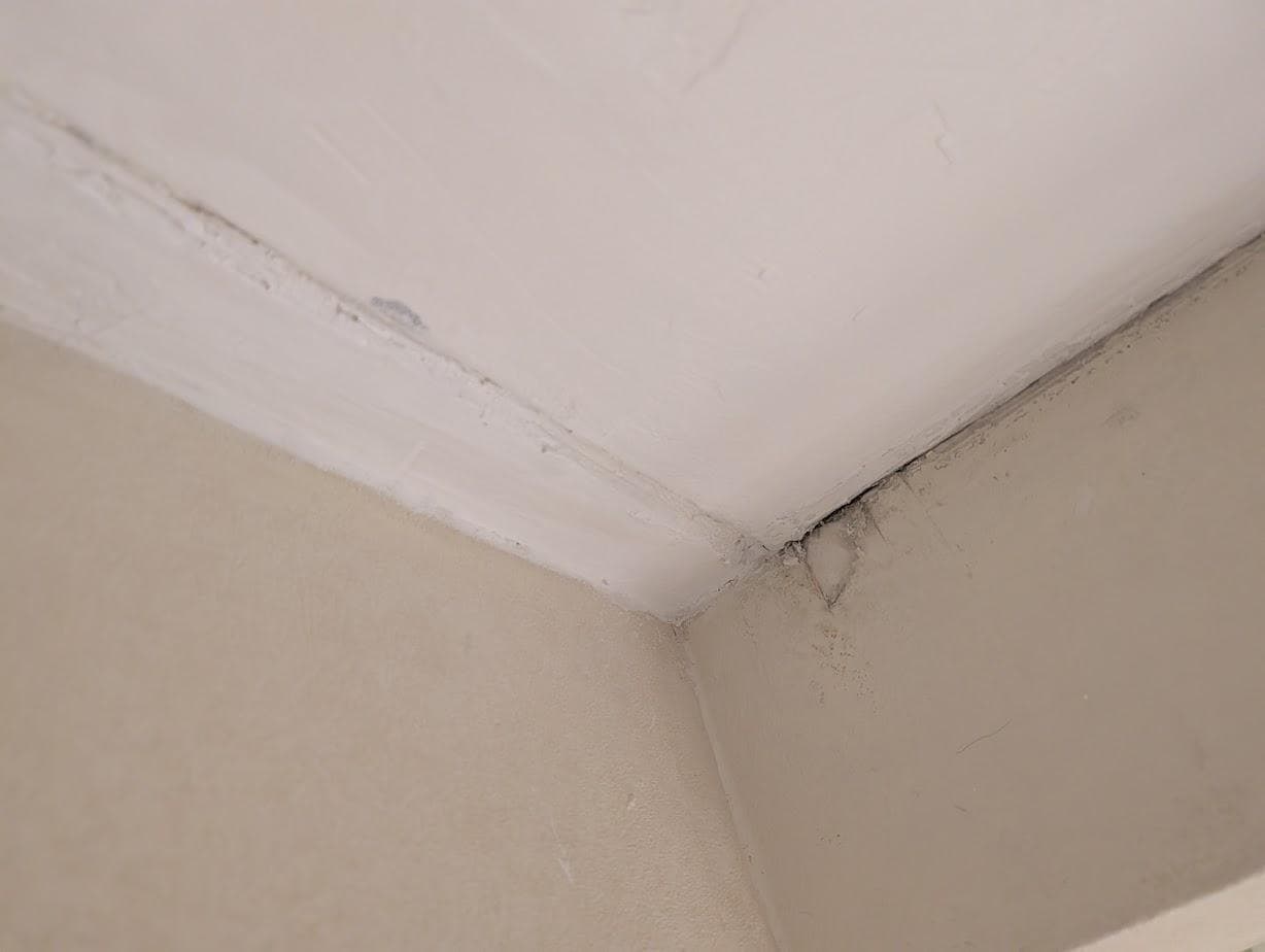 Lack of maintenance, very tired property